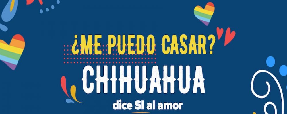 Chihuahua dice SÍ al amor