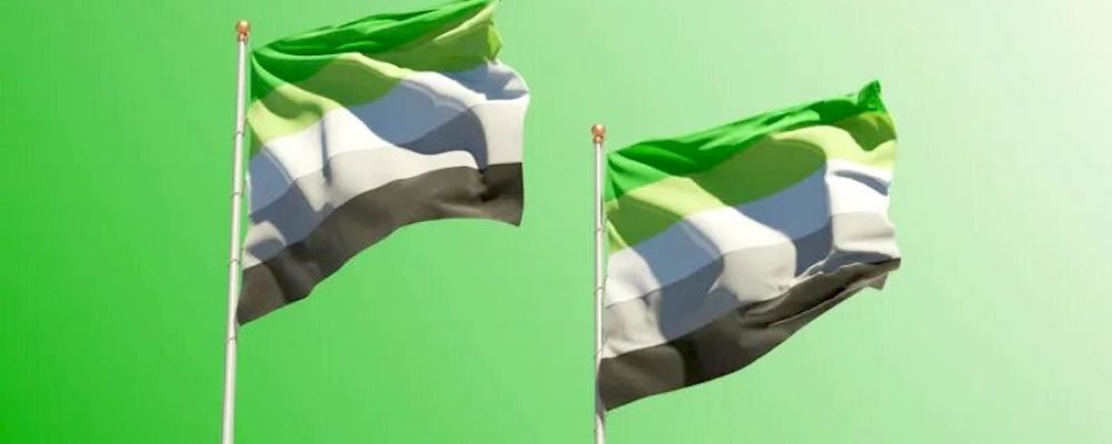 ¿Estás listo para la Semana de Concientización sobre el Espectro Arromántico?