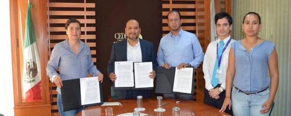 CEDHJ tiene el primer grupo especializado en diversidad sexual