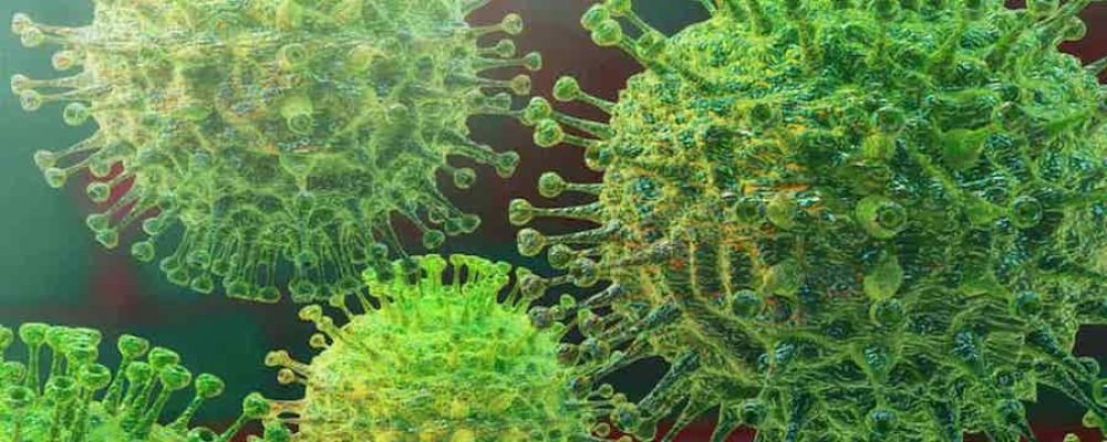 Coronavirus COVID-19. Tu salud es lo primero