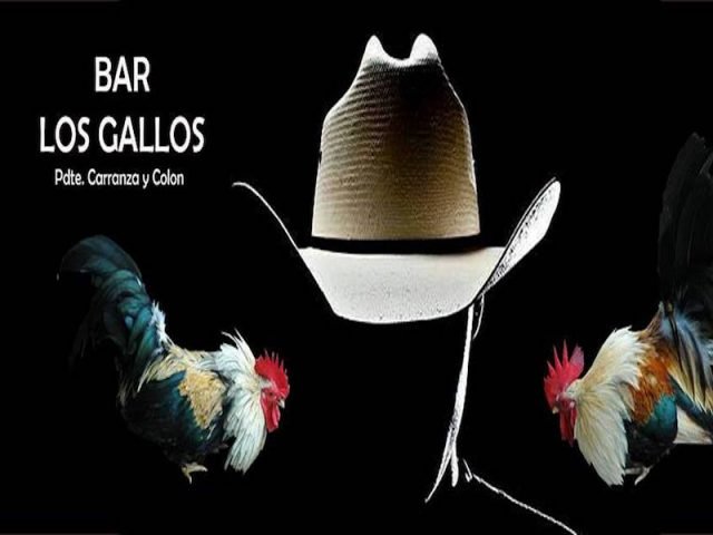 Bar Los Gallos