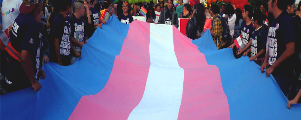 Ocho de cada 10 tlaxcaltecas afirman que no hay respeto a derechos de personas trans