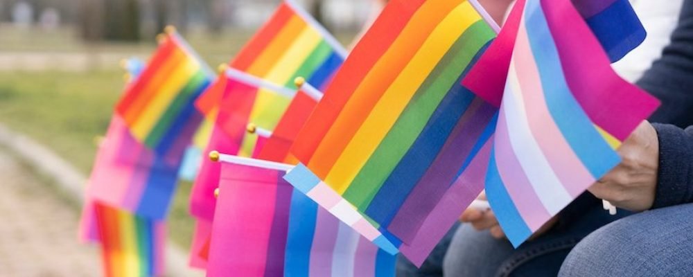BCS podría emitir su propia Ley LGBT para proteger sus derechos; ingresan iniciativa