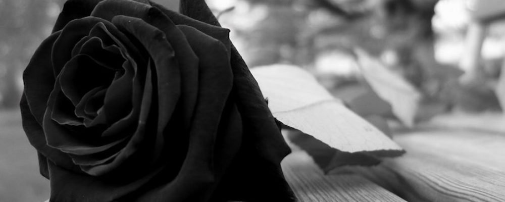 Acoso y violencia contra comunidad lésbico-gay llevan al suicidio